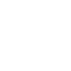 Expert-Driven Analysis